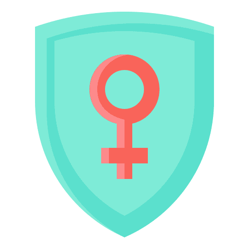 Shield protection gender feminism icon