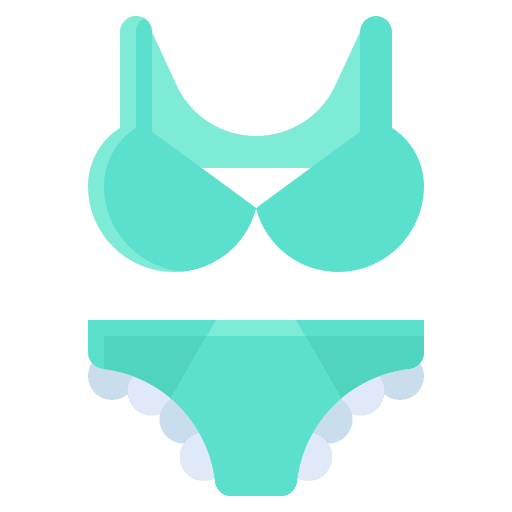 Bikini fashion bikini womens clothing icon