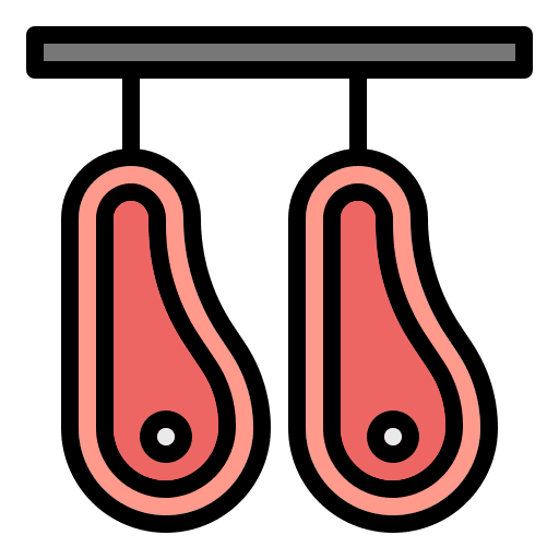 Beef steak proteins meat icon