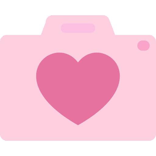 Camera camera love romance icon