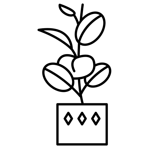 Ficus ficus growing gardening icon Ficus ficus growing gardening icon