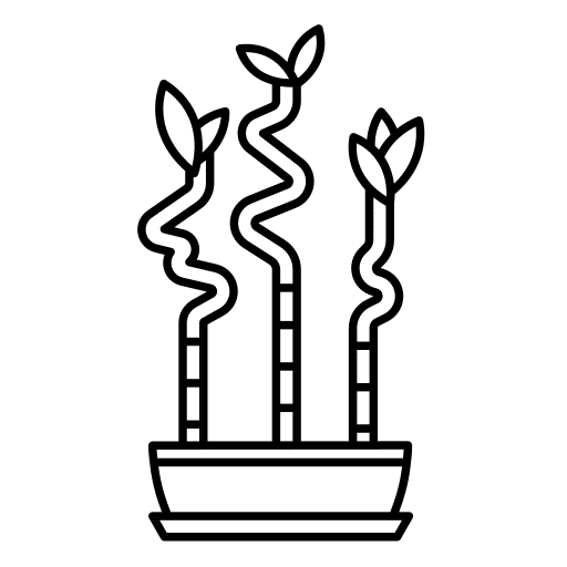 Bamboo bamboo farming and gardening house plants icon Bamboo bamboo farming and gardening house plants icon