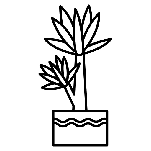 Palm tree growing farming and gardening care icon Palm tree growing farming and gardening care icon