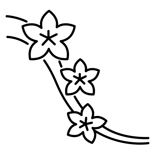 Sakura japanese tree branch cultures icon