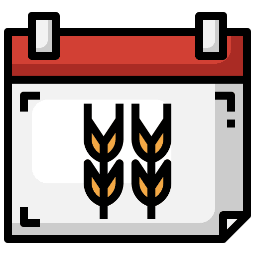 Rice food and restaurant event rice icon