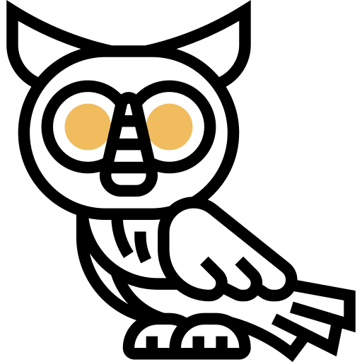 Barn owl wild life hunter bird of prey icon