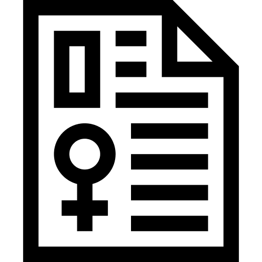 Document feminism elections file icon Document feminism elections file icon