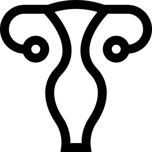 Uterus anatomy ovary vagina icon