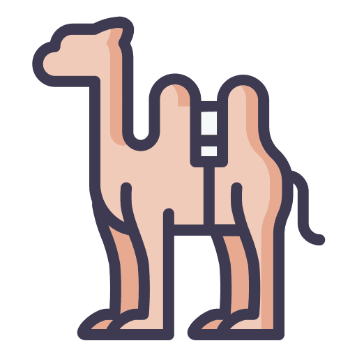 Camel desert transport camel icon Camel desert transport camel icon