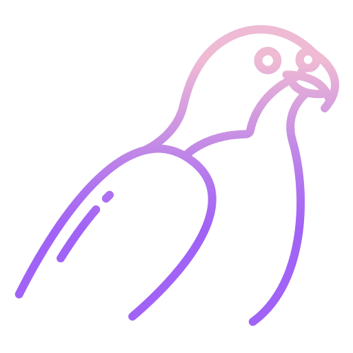 Falcon eagle bird ornithology icon
