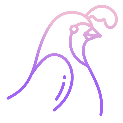 Quail ornithology beak bird icon