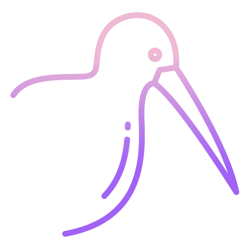 Kiwi bird ornithology animal kingdom icon Kiwi bird ornithology animal kingdom icon