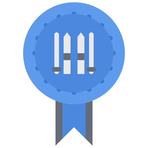 Badge badge ski sport icon