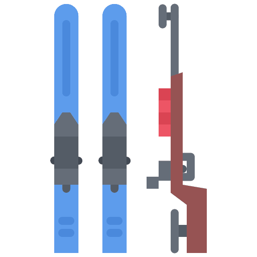 Biathlon ski biathlon sport icon