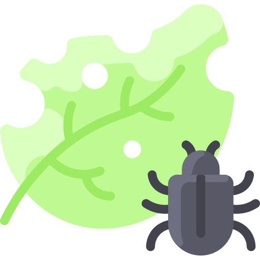 Leaf animal kingdom animals bug icon