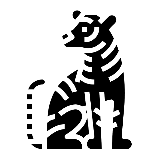 Tiger wildlife mammal zoology icon