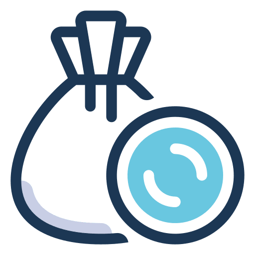 Budget cost dollar finance icon