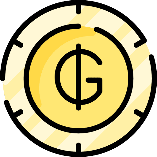 Guarani business cash finance icon