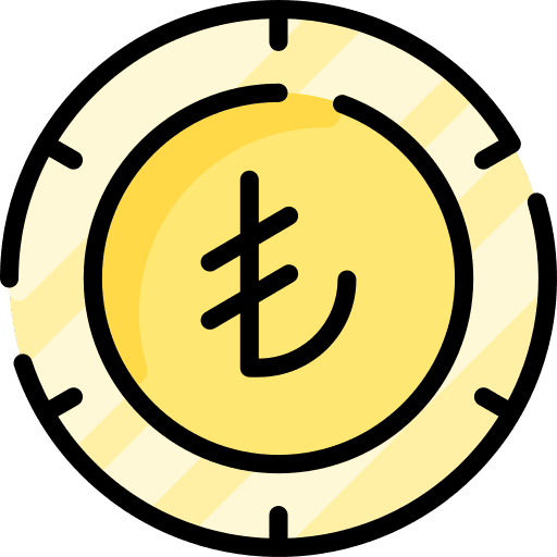 Lira finance coin cash icon