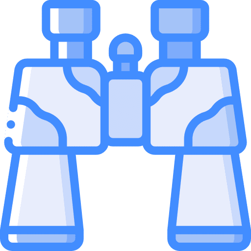 Binoculars look camouflage security icon