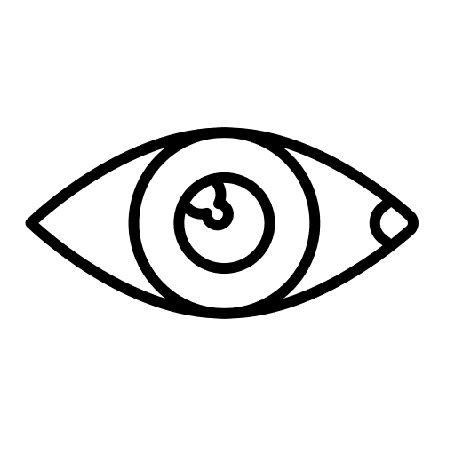 Eye eye healthcare and medical organ icon