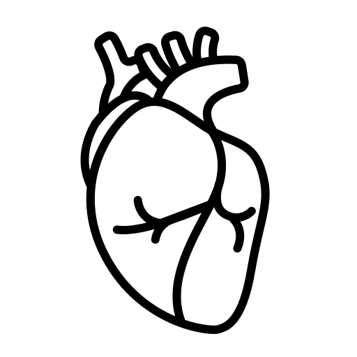 Heart human body organ body part icon