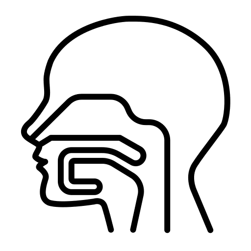 Pharynx nose breath anatomy icon