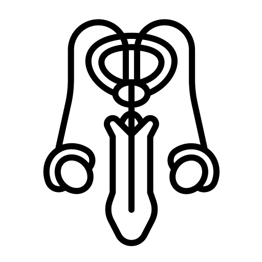 Reproductive system testicles penis male icon