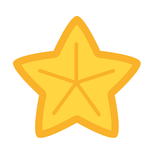 Starfish animal starfish sea icon