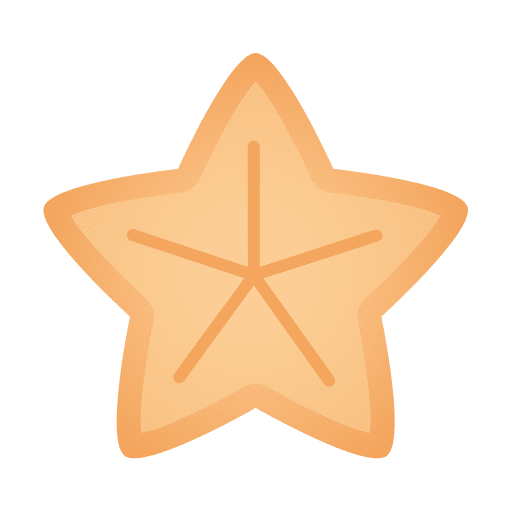 Starfish starfish beach animals icon