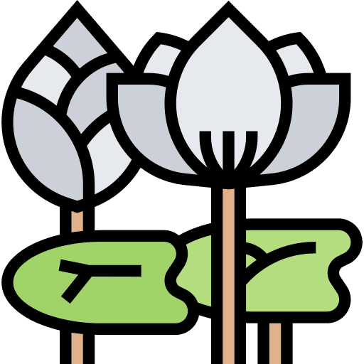 Lotus flower asian tradition celebration icon