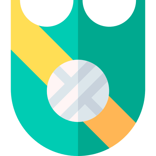 Shield shield badge team sport icon