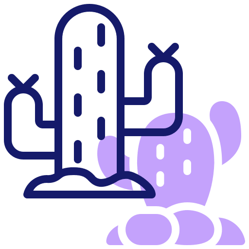 Cactus cactus nature cacti icon
