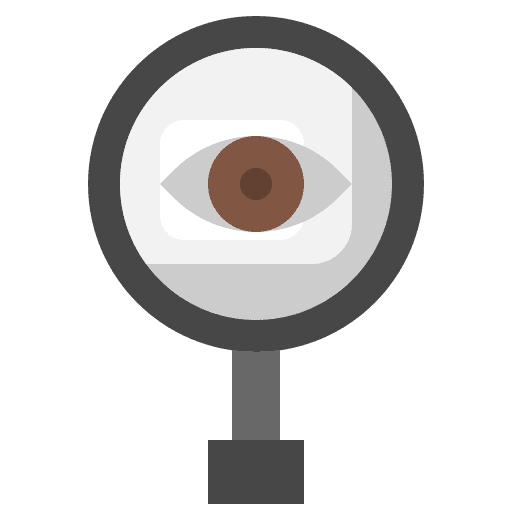 Eye eye investigate insight icon