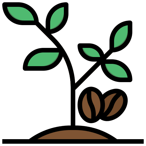 Coffee plant food coffee seeds icon