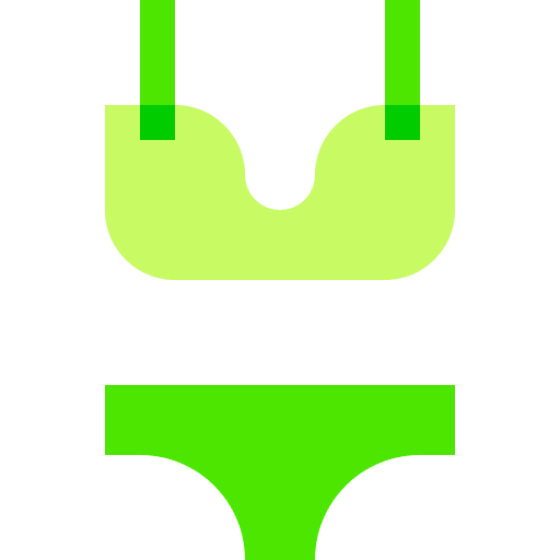 Bikini fashion bikini underwear icon Bikini fashion bikini underwear icon