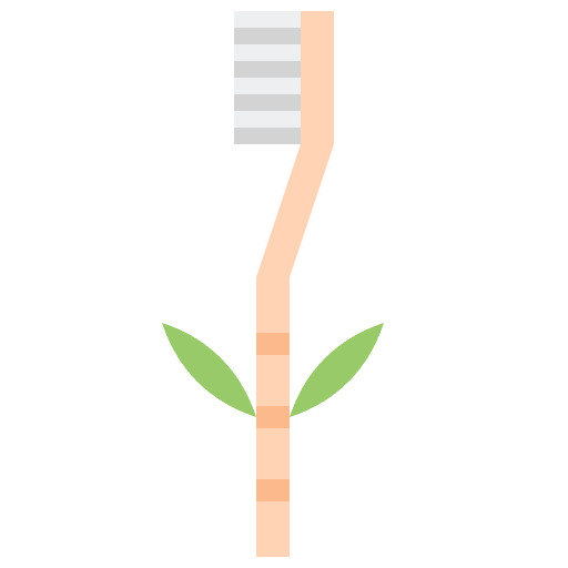 Toothbrushing toothbrushing bamboo zero waste icon
