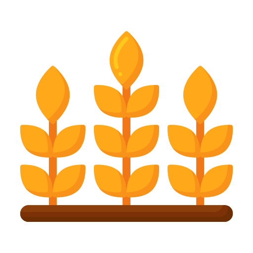 Wheat wheat food and restaurant seeds icon