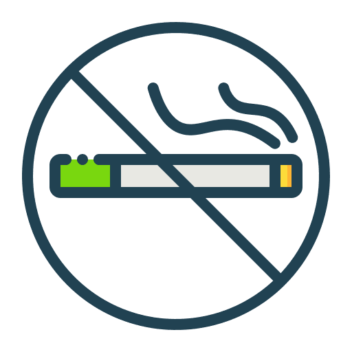 No smoking no smoking healthcare and medical signaling icon No smoking no smoking healthcare and medical signaling icon