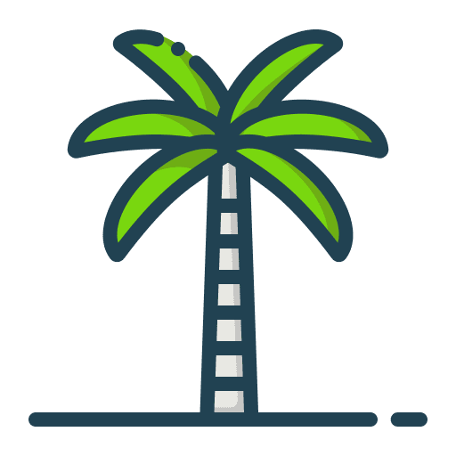 Palm tree coconut tree nature palm tree icon Palm tree coconut tree nature palm tree icon
