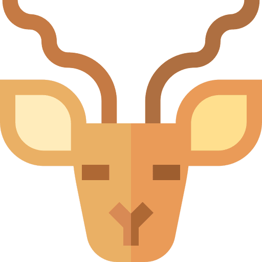 Kudu african antelope animals icon