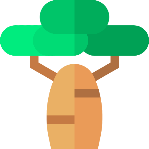 Baobab botanical nature tree icon Baobab botanical nature tree icon