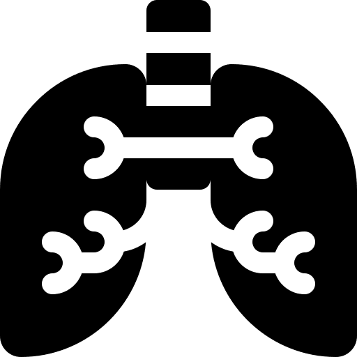Lungs organ breath anatomy icon