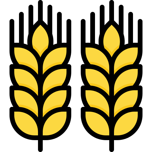 Wheat nature grain wheat icon