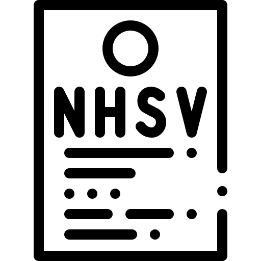 File nhsv file nature icon File nhsv file nature icon