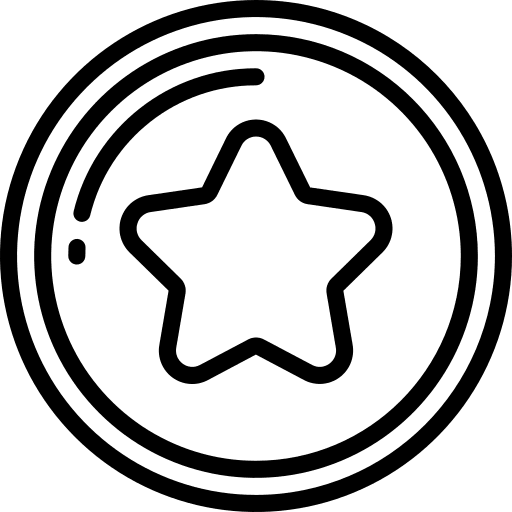 Coin gaming leisure playing icon