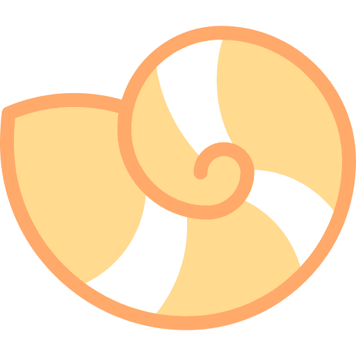 Sea snail animal sea life sea food icon