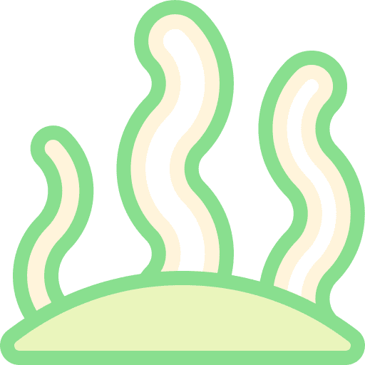 Coral algae aquarium animals icon