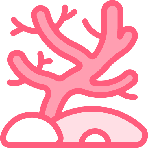 Coral coral reef sea life marine icon