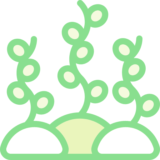 Coral plant aquatic sea life icon